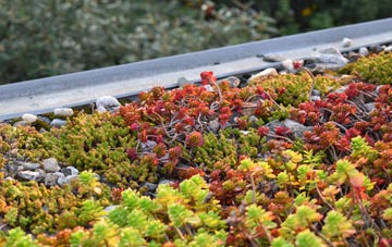 the cost of Street Houses green roof installation
