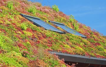Street Houses living roof systems